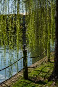 Photo by Jeremy Alford, Unsplash
