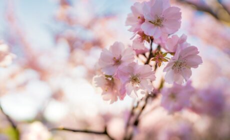 Weekly Virtual Worship Service – March 6, 2022