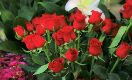 Weekly Virtual Worship Service and Announcements – September 7, 2025