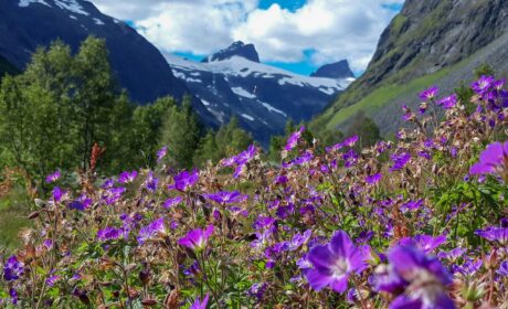 Weekly Virtual Worship Service and Announcements – May 5, 2024
