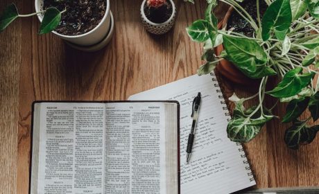 Weekly Virtual Worship Service and Announcements – July 27, 2025