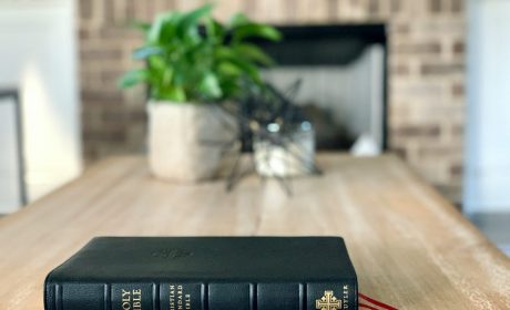 Weekly Virtual Worship Service and Announcements – July 20, 2025