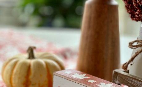 Weekly Virtual Worship Service and Announcements – November 23, 2025