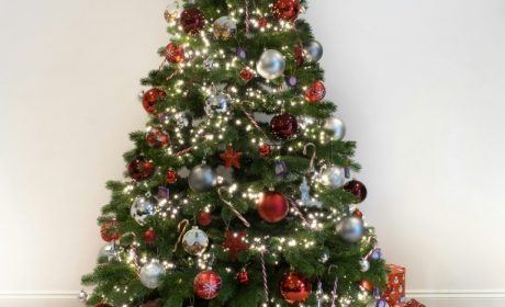 Weekly Virtual Worship Service and Announcements – December 21, 2025