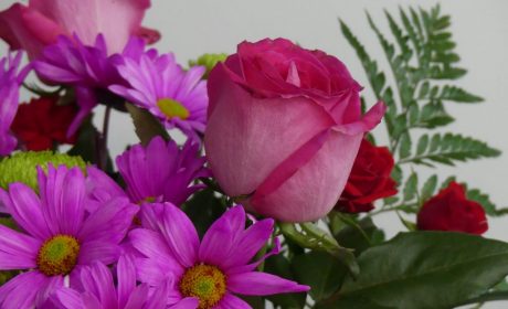 Weekly Virtual Worship Service and Announcements – May 10, 2026