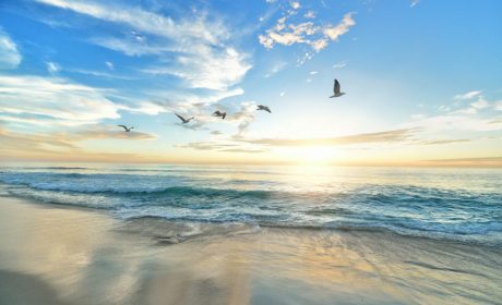 Weekly Worship Service Announcements –April 26, 2026